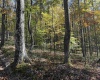 TBD Clemtown Road, Philippi, West Virginia 26416, 0 , 0 ,0,Lots/land,For Sale,Clemtown,0,10167501