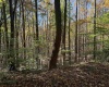 TBD Clemtown Road, Philippi, West Virginia 26416, 0 , 0 ,0,Lots/land,For Sale,Clemtown,0,10167501