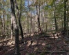 TBD Clemtown Road, Philippi, West Virginia 26416, 0 , 0 ,0,Lots/land,For Sale,Clemtown,0,10167501