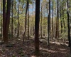 TBD Clemtown Road, Philippi, West Virginia 26416, 0 , 0 ,0,Lots/land,For Sale,Clemtown,0,10167501
