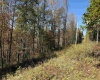 TBD Clemtown Road, Philippi, West Virginia 26416, 0 , 0 ,0,Lots/land,For Sale,Clemtown,0,10167501