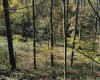 TBD Clemtown Road, Philippi, West Virginia 26416, 0 , 0 ,0,Lots/land,For Sale,Clemtown,0,10167501