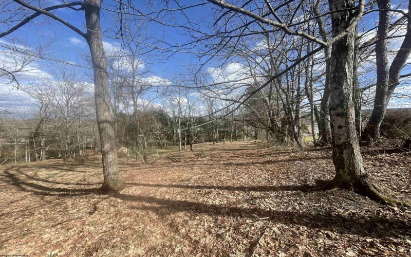 TBD Putnam Street, Buckhannon, West Virginia 26201, 0 , 0 ,0,Lots/land,For Sale,Putnam,0,10158163