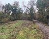 258 Bessie Ann Hill Road, Farmington, West Virginia 26571, 0 , 0 ,0,Lots/land,For Sale,Bessie Ann Hill,0,10167513