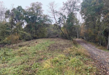 258 Bessie Ann Hill Road, Farmington, West Virginia 26571, 0 , 0 ,0,Lots/land,For Sale,Bessie Ann Hill,0,10167513
