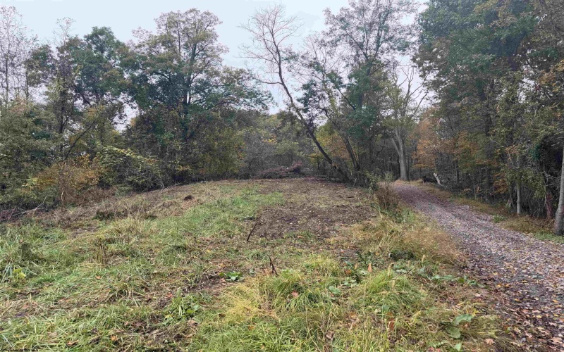 258 Bessie Ann Hill Road, Farmington, West Virginia 26571, 0 , 0 ,0,Lots/land,For Sale,Bessie Ann Hill,0,10167513