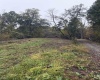 258 Bessie Ann Hill Road, Farmington, West Virginia 26571, 0 , 0 ,0,Lots/land,For Sale,Bessie Ann Hill,0,10167513
