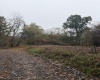 258 Bessie Ann Hill Road, Farmington, West Virginia 26571, 0 , 0 ,0,Lots/land,For Sale,Bessie Ann Hill,0,10167513