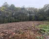 258 Bessie Ann Hill Road, Farmington, West Virginia 26571, 0 , 0 ,0,Lots/land,For Sale,Bessie Ann Hill,0,10167513