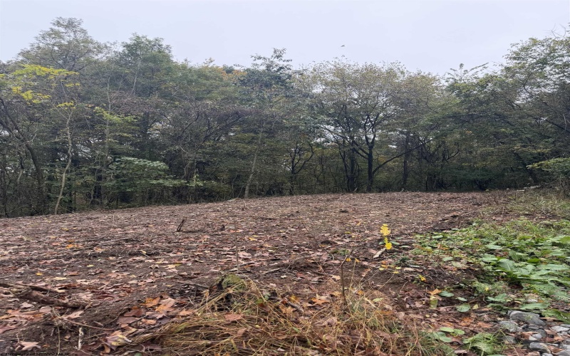 258 Bessie Ann Hill Road, Farmington, West Virginia 26571, 0 , 0 ,0,Lots/land,For Sale,Bessie Ann Hill,0,10167513