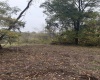 258 Bessie Ann Hill Road, Farmington, West Virginia 26571, 0 , 0 ,0,Lots/land,For Sale,Bessie Ann Hill,0,10167513
