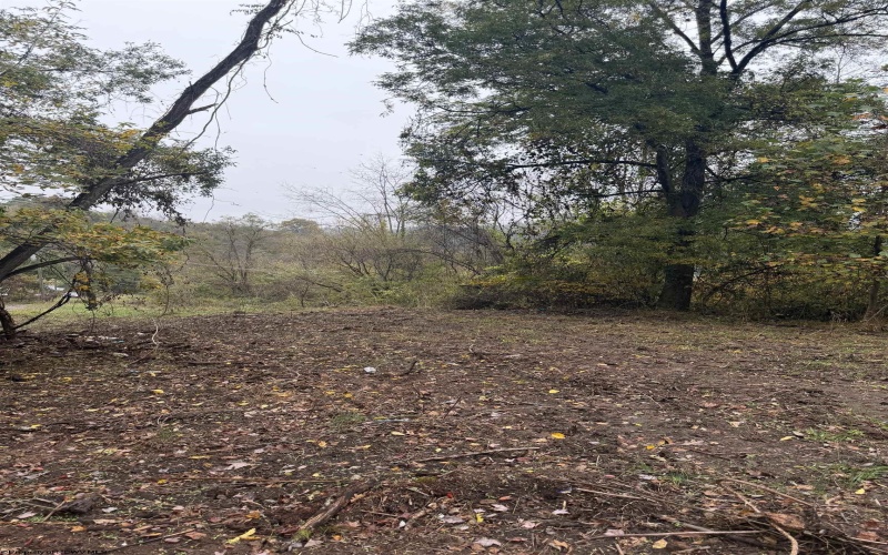 258 Bessie Ann Hill Road, Farmington, West Virginia 26571, 0 , 0 ,0,Lots/land,For Sale,Bessie Ann Hill,0,10167513