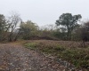 258 Bessie Ann Hill Road, Farmington, West Virginia 26571, 0 , 0 ,0,Lots/land,For Sale,Bessie Ann Hill,0,10167513