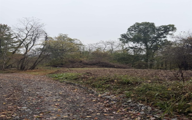 258 Bessie Ann Hill Road, Farmington, West Virginia 26571, 0 , 0 ,0,Lots/land,For Sale,Bessie Ann Hill,0,10167513