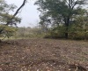 258 Bessie Ann Hill Road, Farmington, West Virginia 26571, 0 , 0 ,0,Lots/land,For Sale,Bessie Ann Hill,0,10167513