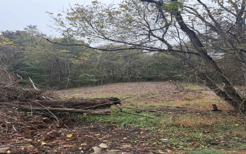 258 Bessie Ann Hill Road, Farmington, West Virginia 26571, 0 , 0 ,0,Lots/land,For Sale,Bessie Ann Hill,0,10167513