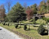 2272 Boy Scout Camp Road, Ellamore, West Virginia 26267, 3 Bedroom Bedrooms, 7 Room Rooms,1 BathroomBathrooms,Single Family Detached,For Sale,Boy Scout Camp,0,10167519