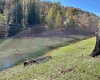 2272 Boy Scout Camp Road, Ellamore, West Virginia 26267, 3 Bedroom Bedrooms, 7 Room Rooms,1 BathroomBathrooms,Single Family Detached,For Sale,Boy Scout Camp,0,10167519