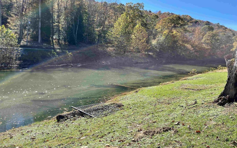 2272 Boy Scout Camp Road, Ellamore, West Virginia 26267, 3 Bedroom Bedrooms, 7 Room Rooms,1 BathroomBathrooms,Single Family Detached,For Sale,Boy Scout Camp,0,10167519