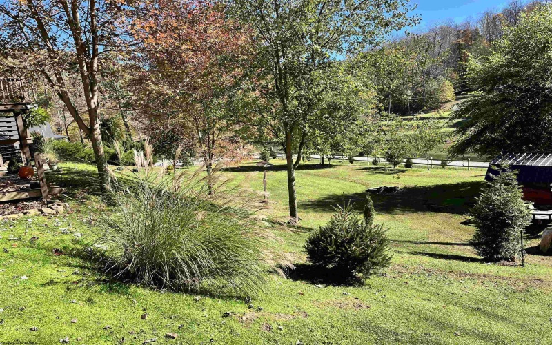 2272 Boy Scout Camp Road, Ellamore, West Virginia 26267, 3 Bedroom Bedrooms, 7 Room Rooms,1 BathroomBathrooms,Single Family Detached,For Sale,Boy Scout Camp,0,10167519