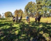 1127 Sand Springs Road, Morgantown, West Virginia 26508, 0 , 0 ,0,Lots/land,For Sale,Sand Springs,0,10167523