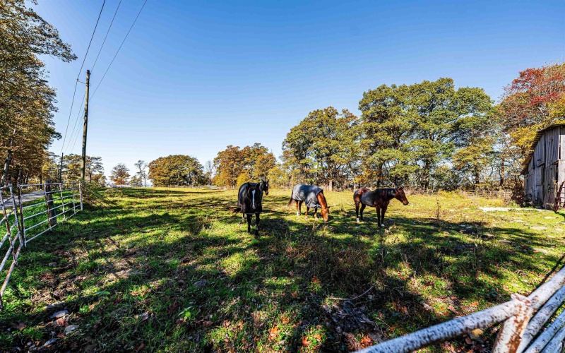 1127 Sand Springs Road, Morgantown, West Virginia 26508, 0 , 0 ,0,Lots/land,For Sale,Sand Springs,0,10167523