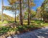 1127 Sand Springs Road, Morgantown, West Virginia 26508, 0 , 0 ,0,Lots/land,For Sale,Sand Springs,0,10167523