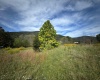 TBD Bonner Mtn Road, Dryfork, West Virginia 26263, 0 , 0 ,0,Lots/land,For Sale,Bonner Mtn,0,10167538