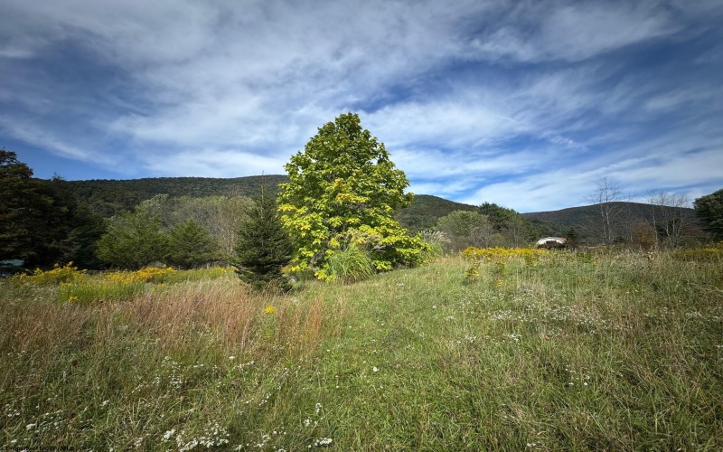 TBD Bonner Mtn Road, Dryfork, West Virginia 26263, 0 , 0 ,0,Lots/land,For Sale,Bonner Mtn,0,10167538