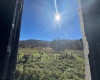 TBD Bonner Mtn Road, Dryfork, West Virginia 26263, 0 , 0 ,0,Lots/land,For Sale,Bonner Mtn,0,10167538