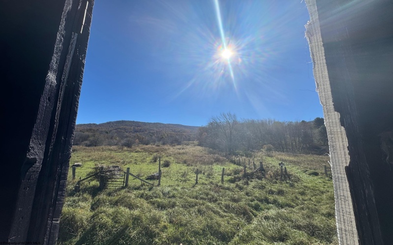 TBD Bonner Mtn Road, Dryfork, West Virginia 26263, 0 , 0 ,0,Lots/land,For Sale,Bonner Mtn,0,10167538