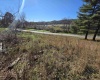 TBD Route 219 (RR), Kerens, West Virginia 26276, 0 , 0 ,0,Lots/land,For Sale,Route 219,0,10167525 TBD Route 219 (RR), Kerens, West Virginia 26276, 0 , 0 ,0,Lots/land,For Sale,Route 219,0,10167525