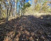 TBD Route 219 (RR), Kerens, West Virginia 26276, 0 , 0 ,0,Lots/land,For Sale,Route 219,0,10167525 TBD Route 219 (RR), Kerens, West Virginia 26276, 0 , 0 ,0,Lots/land,For Sale,Route 219,0,10167525