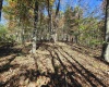 TBD Route 219 (RR), Kerens, West Virginia 26276, 0 , 0 ,0,Lots/land,For Sale,Route 219,0,10167525 TBD Route 219 (RR), Kerens, West Virginia 26276, 0 , 0 ,0,Lots/land,For Sale,Route 219,0,10167525