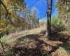 TBD Route 219 (RR), Kerens, West Virginia 26276, 0 , 0 ,0,Lots/land,For Sale,Route 219,0,10167525 TBD Route 219 (RR), Kerens, West Virginia 26276, 0 , 0 ,0,Lots/land,For Sale,Route 219,0,10167525