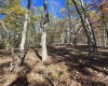 TBD Route 219 (RR), Kerens, West Virginia 26276, 0 , 0 ,0,Lots/land,For Sale,Route 219,0,10167525 TBD Route 219 (RR), Kerens, West Virginia 26276, 0 , 0 ,0,Lots/land,For Sale,Route 219,0,10167525
