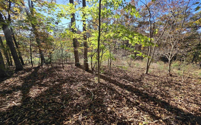 TBD Route 219 (RR), Kerens, West Virginia 26276, 0 , 0 ,0,Lots/land,For Sale,Route 219,0,10167525 TBD Route 219 (RR), Kerens, West Virginia 26276, 0 , 0 ,0,Lots/land,For Sale,Route 219,0,10167525
