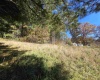 TBD Route 219 (RR), Kerens, West Virginia 26276, 0 , 0 ,0,Lots/land,For Sale,Route 219,0,10167525 TBD Route 219 (RR), Kerens, West Virginia 26276, 0 , 0 ,0,Lots/land,For Sale,Route 219,0,10167525