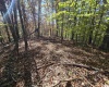 TBD Route 219 (RR), Kerens, West Virginia 26276, 0 , 0 ,0,Lots/land,For Sale,Route 219,0,10167525 TBD Route 219 (RR), Kerens, West Virginia 26276, 0 , 0 ,0,Lots/land,For Sale,Route 219,0,10167525