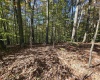 TBD Route 219 (RR), Kerens, West Virginia 26276, 0 , 0 ,0,Lots/land,For Sale,Route 219,0,10167525 TBD Route 219 (RR), Kerens, West Virginia 26276, 0 , 0 ,0,Lots/land,For Sale,Route 219,0,10167525
