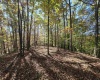 TBD Route 219 (RR), Kerens, West Virginia 26276, 0 , 0 ,0,Lots/land,For Sale,Route 219,0,10167525 TBD Route 219 (RR), Kerens, West Virginia 26276, 0 , 0 ,0,Lots/land,For Sale,Route 219,0,10167525
