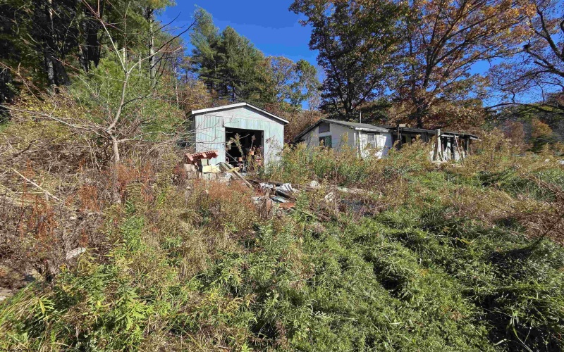 TBD Route 219 (RR), Kerens, West Virginia 26276, 0 , 0 ,0,Lots/land,For Sale,Route 219,0,10167525 TBD Route 219 (RR), Kerens, West Virginia 26276, 0 , 0 ,0,Lots/land,For Sale,Route 219,0,10167525