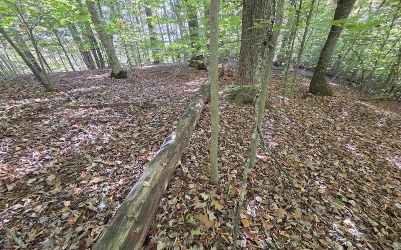 TBD Route 219 (RR), Kerens, West Virginia 26276, 0 , 0 ,0,Lots/land,For Sale,Route 219,0,10167525 TBD Route 219 (RR), Kerens, West Virginia 26276, 0 , 0 ,0,Lots/land,For Sale,Route 219,0,10167525
