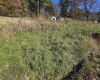 TBD Route 219 (RR), Kerens, West Virginia 26276, 0 , 0 ,0,Lots/land,For Sale,Route 219,0,10167525 TBD Route 219 (RR), Kerens, West Virginia 26276, 0 , 0 ,0,Lots/land,For Sale,Route 219,0,10167525