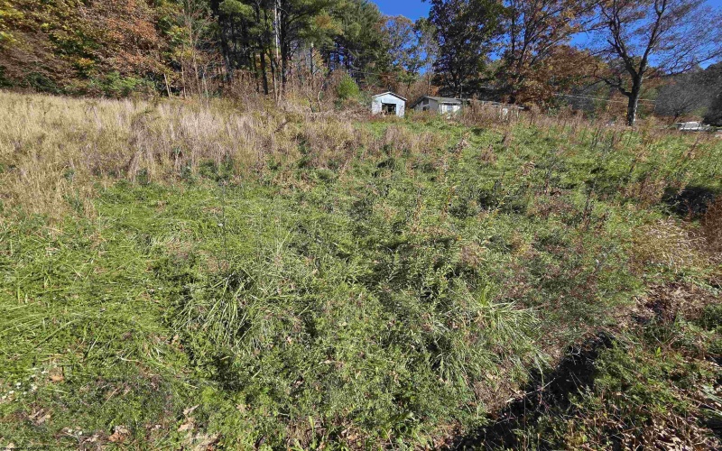 TBD Route 219 (RR), Kerens, West Virginia 26276, 0 , 0 ,0,Lots/land,For Sale,Route 219,0,10167525 TBD Route 219 (RR), Kerens, West Virginia 26276, 0 , 0 ,0,Lots/land,For Sale,Route 219,0,10167525