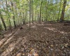 TBD Route 219 (RR), Kerens, West Virginia 26276, 0 , 0 ,0,Lots/land,For Sale,Route 219,0,10167525 TBD Route 219 (RR), Kerens, West Virginia 26276, 0 , 0 ,0,Lots/land,For Sale,Route 219,0,10167525