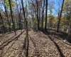 TBD Route 219 (RR), Kerens, West Virginia 26276, 0 , 0 ,0,Lots/land,For Sale,Route 219,0,10167525 TBD Route 219 (RR), Kerens, West Virginia 26276, 0 , 0 ,0,Lots/land,For Sale,Route 219,0,10167525