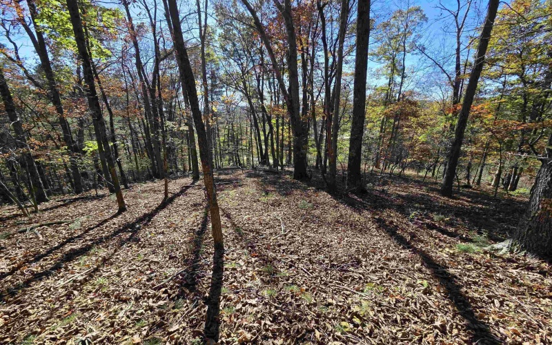 TBD Route 219 (RR), Kerens, West Virginia 26276, 0 , 0 ,0,Lots/land,For Sale,Route 219,0,10167525 TBD Route 219 (RR), Kerens, West Virginia 26276, 0 , 0 ,0,Lots/land,For Sale,Route 219,0,10167525