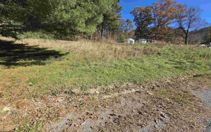 TBD Route 219 (RR), Kerens, West Virginia 26276, 0 , 0 ,0,Lots/land,For Sale,Route 219,0,10167525 TBD Route 219 (RR), Kerens, West Virginia 26276, 0 , 0 ,0,Lots/land,For Sale,Route 219,0,10167525