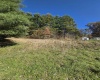 TBD Route 219 (RR), Kerens, West Virginia 26276, 0 , 0 ,0,Lots/land,For Sale,Route 219,0,10167525 TBD Route 219 (RR), Kerens, West Virginia 26276, 0 , 0 ,0,Lots/land,For Sale,Route 219,0,10167525